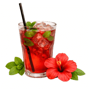 Hibiscus Menthe