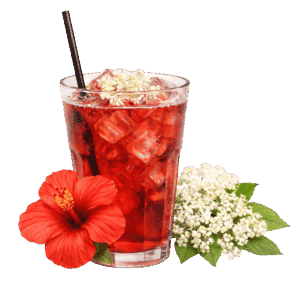 Hibiscus Sureau