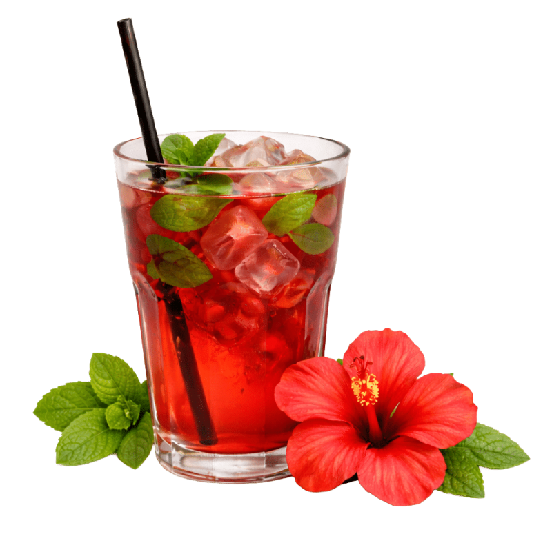Hibiscus Menthe