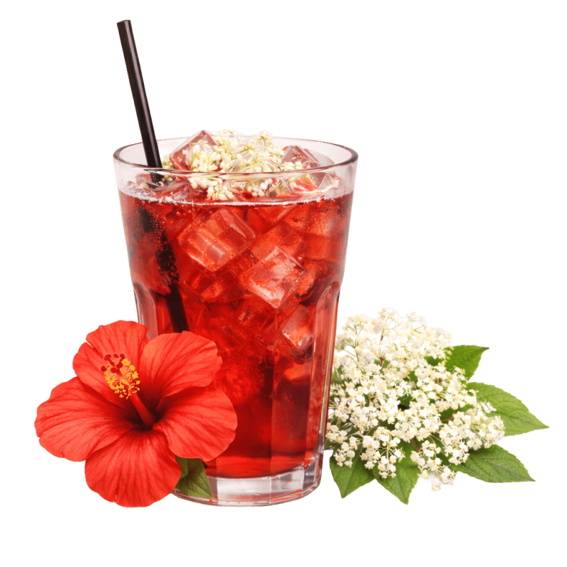 Hibiscus Sureau